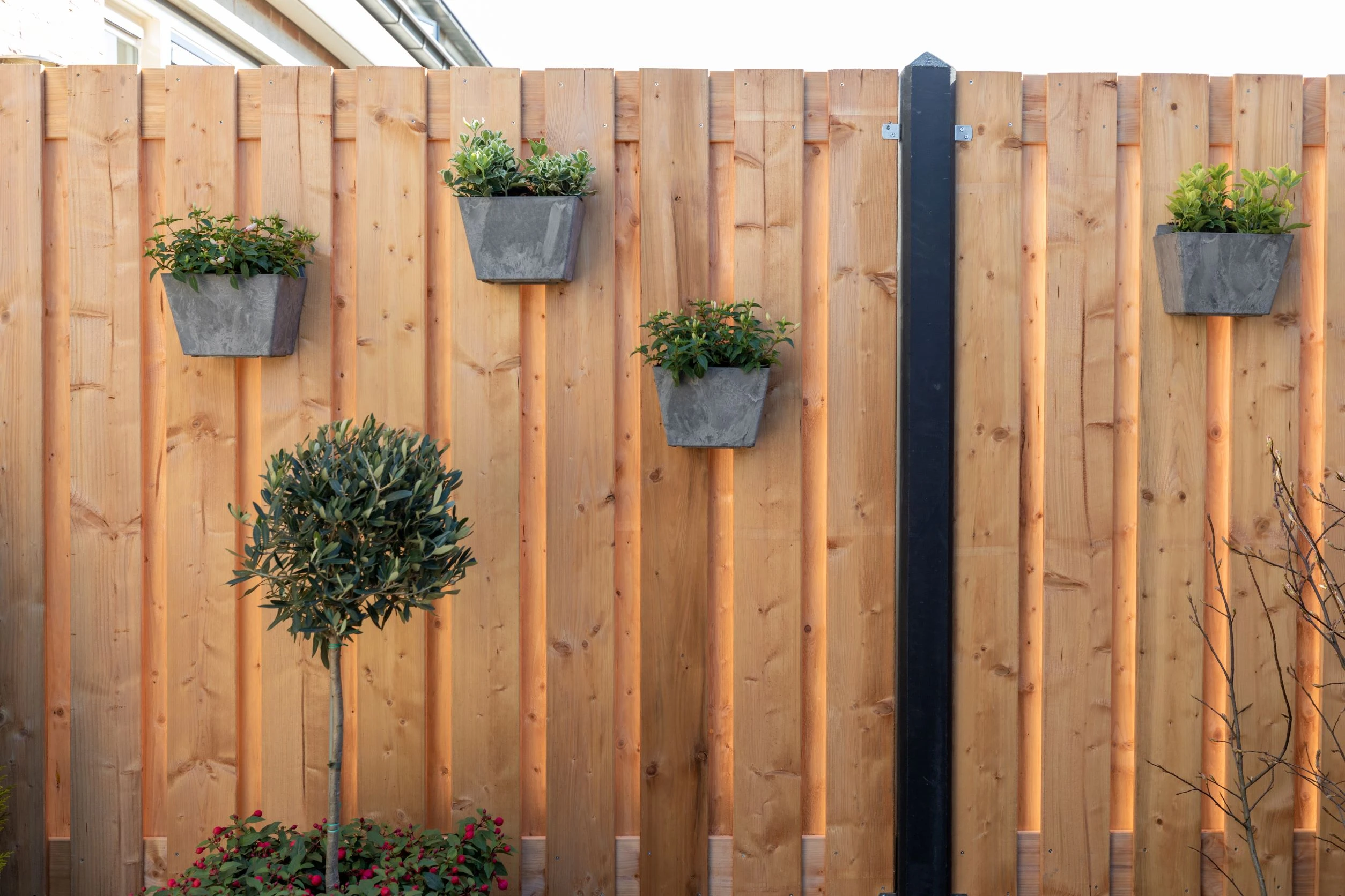 Redwood Schutting Geschaafd 180 x 180 cm - Afbeelding 2